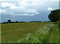 Large field and footpath west of Grange Farm in S21 3UB