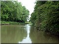 The Oxford canal near Hillmorton in CV21 4AQ