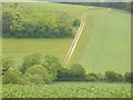 Downland North of Holybourne in GU34 2FS