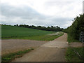 National Cycle Route 1 near Nazeing in EN9 2HG