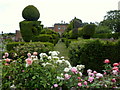 Topiary avenue viewed from the rose garden at Mount Ephraim, Staplestreet in ME13 9TG