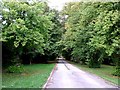 Avenue to Weston Mead Farm in HP22 5AB