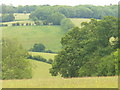Downland East of Shalden in GU34 4EA