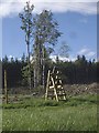 Step stile over a deer fence in AB34 5EU