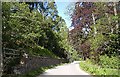 Approaching the exit from the Glen Tanar estate in AB34 5ET