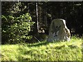 Grampians marker stone by South Deeside road in AB34 5JB