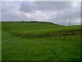 Pasture on Dillar Hill in Lanarkshire