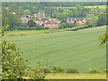 Field by Will Hall Farm in Alton Amery Ward