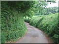 The road to Windy Cross in EX6 7PY