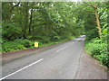 Silchester Road / Pamber Forest in RG26 5EN