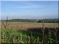 Farmland near Inkpen in RG17 9EA