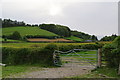 Rickety gate near Felindre in SY18 6PH