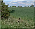Farmland near Mill House Farm in LE17 5NR