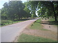 Road across Richmond Park in SW15 3ER