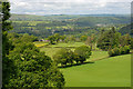 Fields above the Dulas valley in SY18 6QD