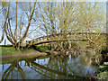 Bridge and Willows, River Thame in OX10 7AA