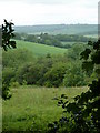 Hillside view from the track to Bramleyhill Farm in Marsh Lane