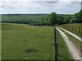 Track down to Tegleaze Farm in GU28 0NN