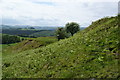 The remains of quarry activity on the side of Penwar in Llanidloes Without Community