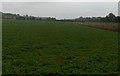 Farmland near Shalbourne in SN8 3PS