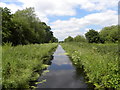 The Glastonbury Canal in BA16 9SQ