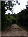 Bridleway to the A12 in IP5 4AA