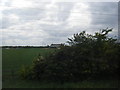 Chalton Cross Farm seen from M1 in LU5 5PX