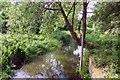 The millstream at Cuddesdon in OX44 9HQ