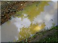 Muddy reflections in GU34 5DX