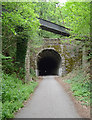 Shaugh Tunnel (southern entrance) in PL6 7AP