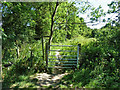 Footpath junction near Laybrook Farm in RH20 2LW