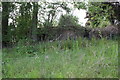 Overgrown pill box on SW side of A4074 in OX10 7ET