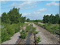 Disused coal depot railway line in S43 3FN