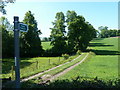 Footpath towards Cutthorpe Hall in Cutthorpe