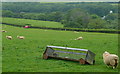 Farmland off the West Devon Way in PL19 9JS