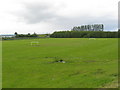 Playing field at Alloa in FK10 2BS