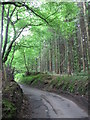 Lane through Coed y Gedrys in CF15 7QX