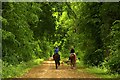 Riders on the bridleway in Forest Hill with Shotover
