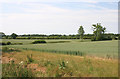 Arable farmland south-east of High Ongar in CM5 9QZ
