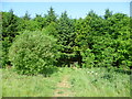 The Hereward Way approaches Burghley Park in St. Martin's Without