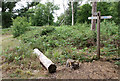 Log And Signpost in SG19 2DA