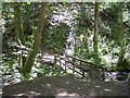 Footbridge over brook in Borsdane Wood in BL5 2DL