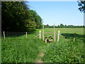 Hereward Way heading across Burghley Park in St. Martin's Without