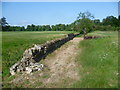 The Hereward Way in Burghley Park in St. Martin's Without