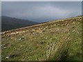 Hillside above the Acharn Burn in PH15 2HS
