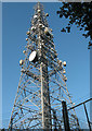 BT mast at Hertford Heath in SG13 7QA