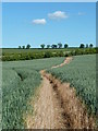 Footpath near Dunston Hole Farm in S41 9RW