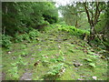 Footpath up the incline in Llangattock Community