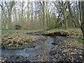 Stream at Woodhall in CM9 6RY