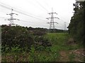 Power lines, Devilla Forest in FK10 4PL